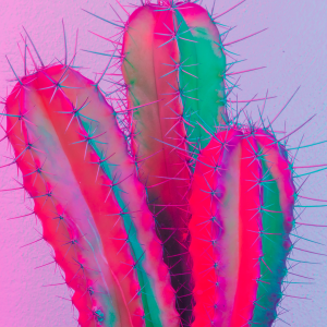 Pop Ensembles neon cactus photo