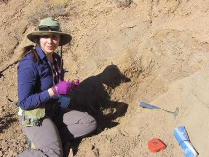 A woman digging in the dirt during a research excavation.