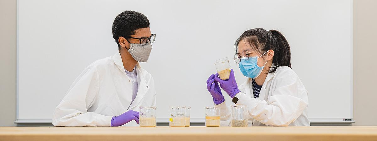 Two students discussing research samples